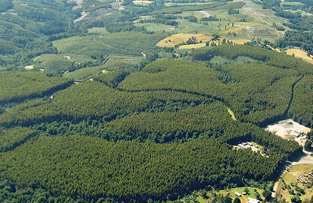 グループ会社が取り組む植林事業の空撮写真