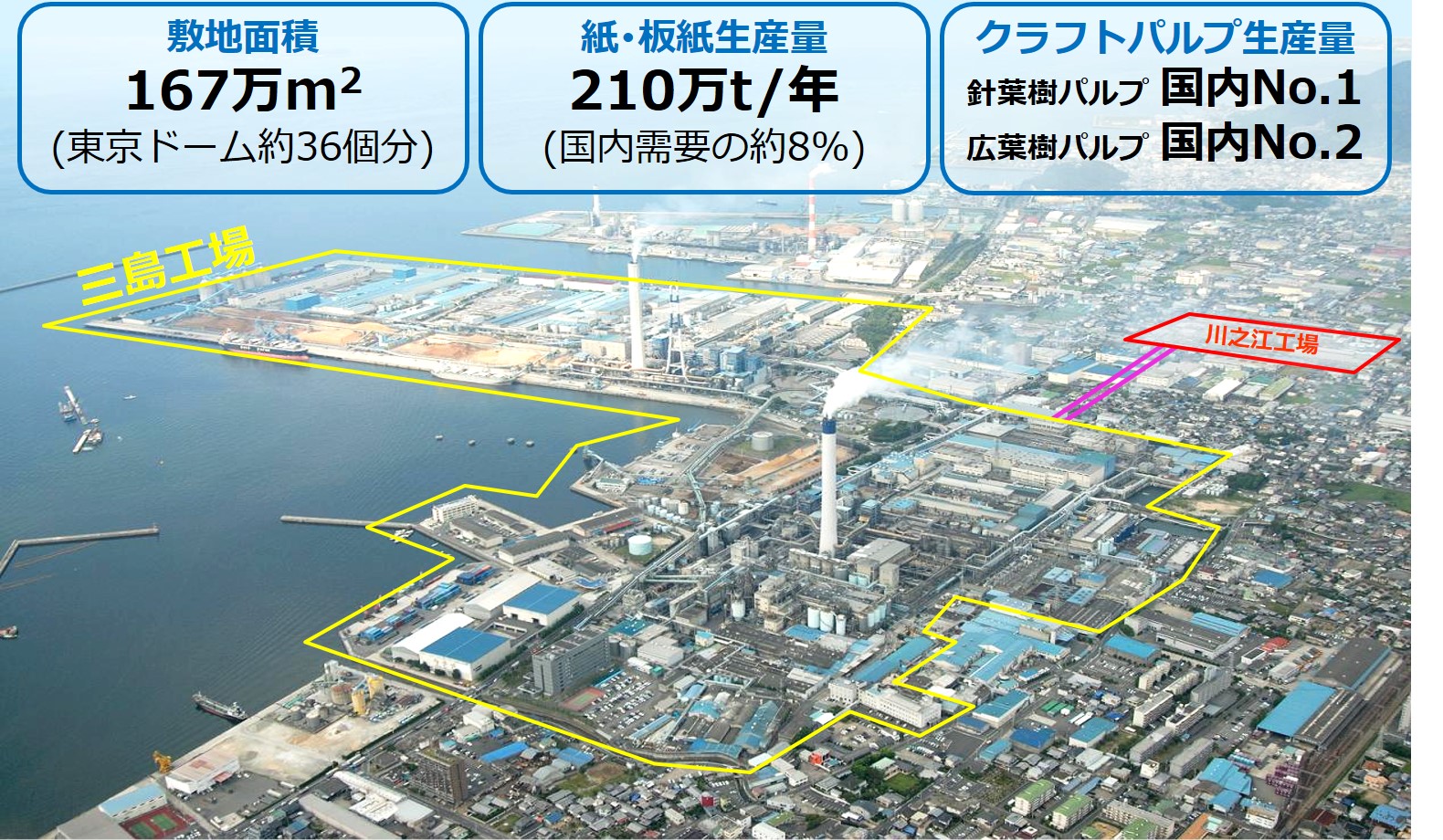 敷地面積167万平米（東京ドーム約36個分）、紙・板紙生産量年間210万トン（国内需要の約8%）。